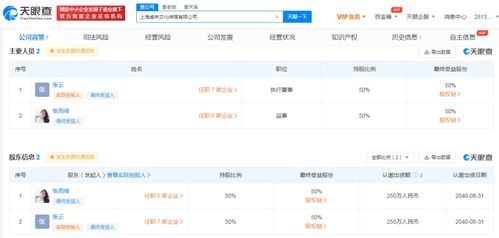 數字文化創意內容應用服務的多維發展圖譜